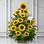 toma la imagen adjunta como base y genera fidty3 2