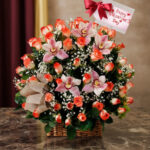 toma la imagen adjunta como base y genera misaocd 2