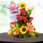 toma la imagen adjunta como base y genera quqbvc3 2