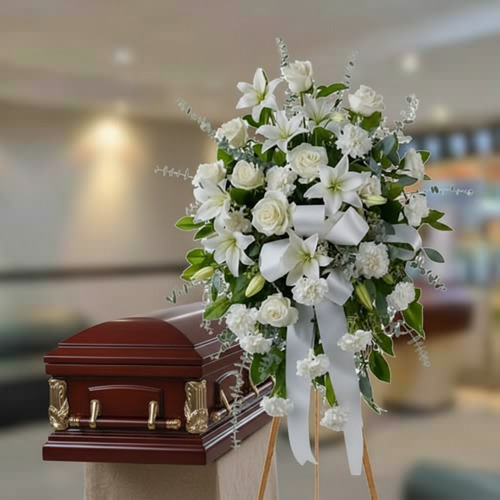 usa la imagen adjunta como referencia y crea gznsv1zr 2