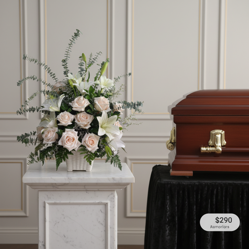 usa la imagen adjunta como referencia y crea v8iq6u 2