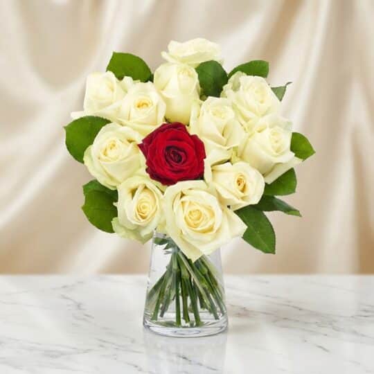 Arreglo floral CARLA con 12 rosas de tallo largo, una roja central y once blancas, en un jarrón de cristal sobre mármol.