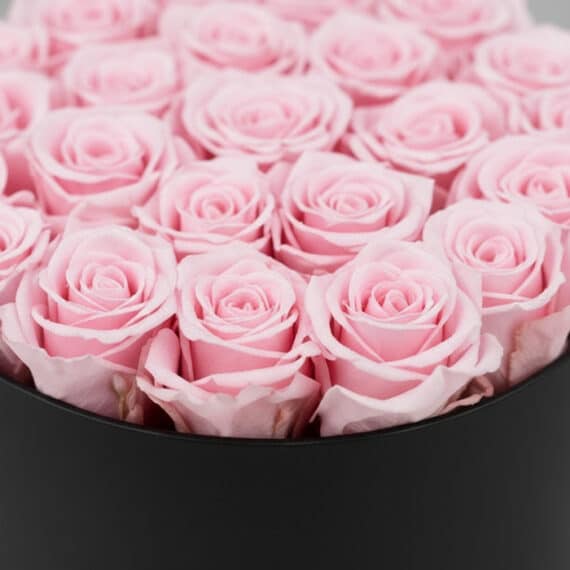 Primer plano extremo de 21 rosas rosadas frescas con gotas de rocío sutiles, dispuestas en un elegante cilindro negro, resalt