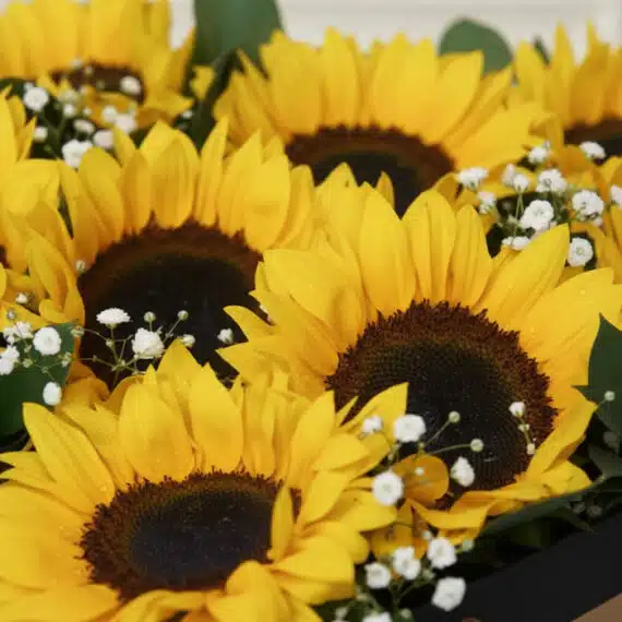 Primer plano extremo de un arreglo floral con girasoles 'Soleil' y pequeñas flores blancas, mostrando texturas hiperrealistas