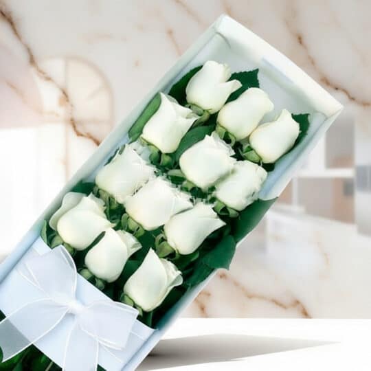 Caja de 12 rosas blancas frescas con moño blanco, presentadas elegantemente sobre un fondo de mármol claro, ideal para ecomme