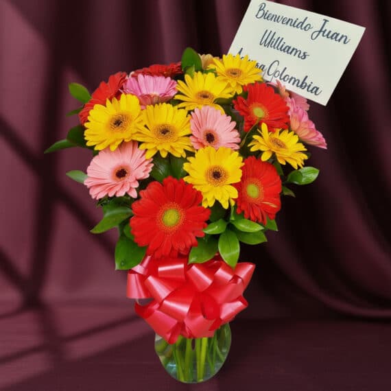 Jarrón con Gerberas Multicolor: Frescura y Alegría para tu Hogar Jarrón de cristal con un vibrante arreglo de gerberas multicolores (rojas, amarillas, rosas) y follaje verde, atado con un la
