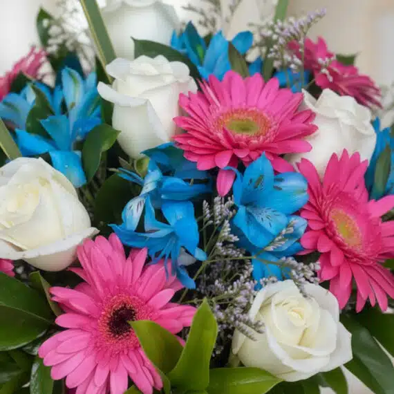 Primer plano extremo de un arreglo floral 'Jarrón Primavera' con rosas blancas, gerberas fucsias y alstroemerias azules, dest